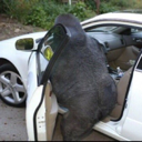gorillaincoupe Discord emoji