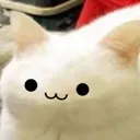owo