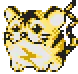 Kotora