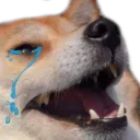 memeDogKekCri