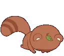 tanukisorrysad