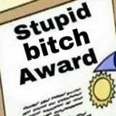 StupidBitchAward