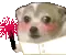 flust flust