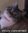 midly