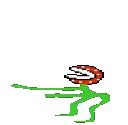 PlantBeGroovin PlantBeGroovin