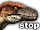 stop stop