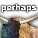 perhaps perhaps