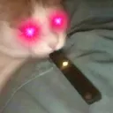 JuulCat