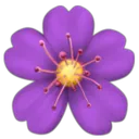 violet violet