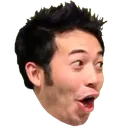 pog pog