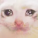 cryingcat