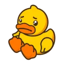 duckyAWIE