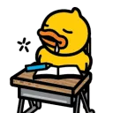 duckySCHOOL