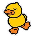 duckyHAPPYDANCE