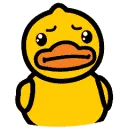 duckyNEVER