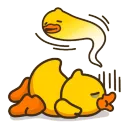 duckySLEEP