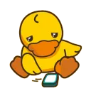 duckyBORED