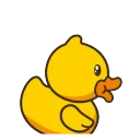 duckyOMG duckyOMG