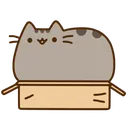 pusheen_box