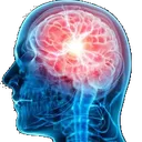 13000iq