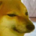 :nimger: Discord Emote