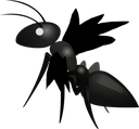 :fly: Discord Emote
