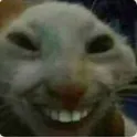 creepycat