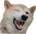 :Dog_LafProjectV2: Discord Emote