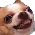 :HeheDog_LafProjectV2: Discord Emote