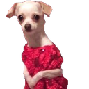 :MeekDog_LafProjectV2: Discord Emote