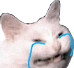 :CryCat_LafProjectV2: Discord Emote