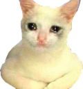 :SadCat2_LafProjectV2: Discord Emote