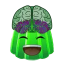 BigBwainJelly BigBwainJelly