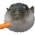 pufferfish