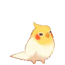 borb_jump borb_jump