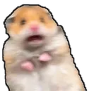 Aaaaaaa Aaaaaaa