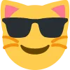 sunglasses_cat