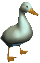 duckhype Discord emoji