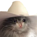 cathouse