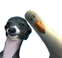 melekreito melekreito