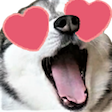 :doggolove: Discord Emote