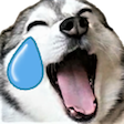 :doggojoy: Discord Emote