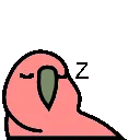 ParrotSleep