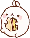 BunBunEating