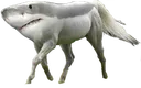 horshark