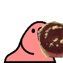 aParrotDonut aParrotDonut