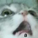 aaa