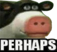 Perhaps