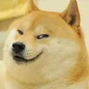 evildoge