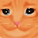 sadgoose